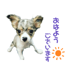 Kazumi_20200303173602