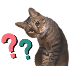 saori_20200303191125