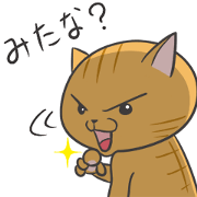 chataro is cat