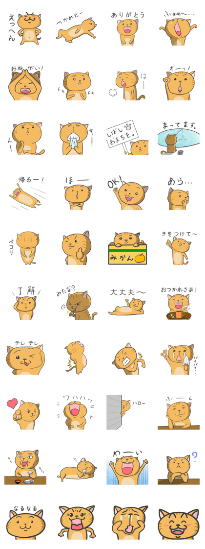 chataro is cat