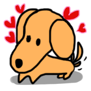 Chappy happy day