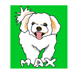 DOG HOLIC  OLD MAN_20200305212520