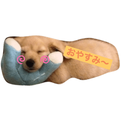 aoi_20200303220335