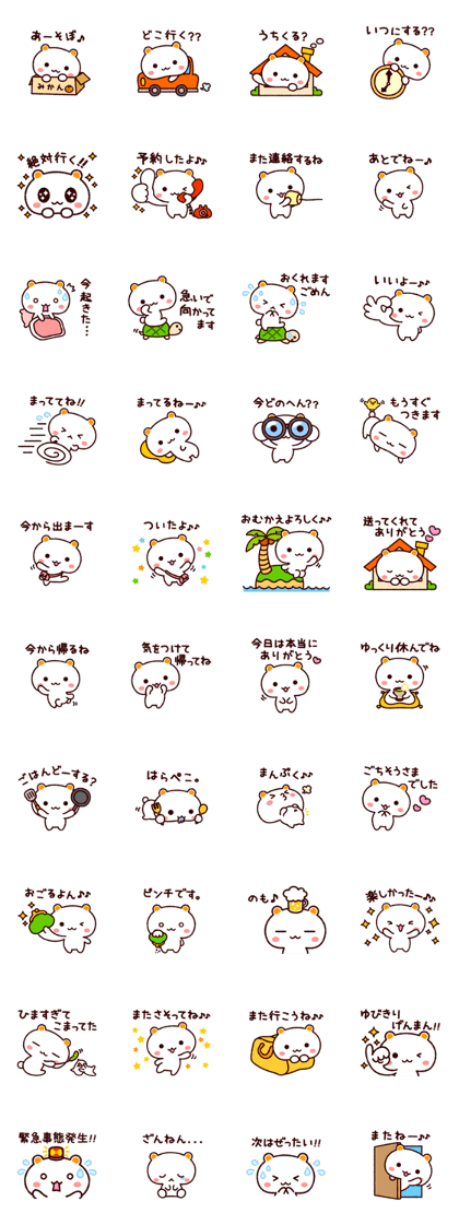 TAMACHAN THE SHIROKUMANEKO (APPOINTMENT)