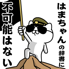 "HAMACHAN"name/Military cat