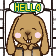 House sitting rabbit, kuu-chan world