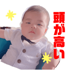 panda_20200303221630