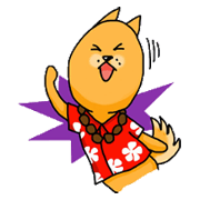 Go with Aloha!!