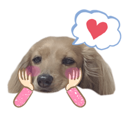 cocoa_20200303225144