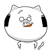 middle-aged cat 2
