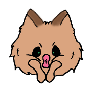 Yorkshire terrier of my home