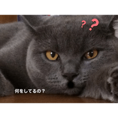 arisa_20200303232711