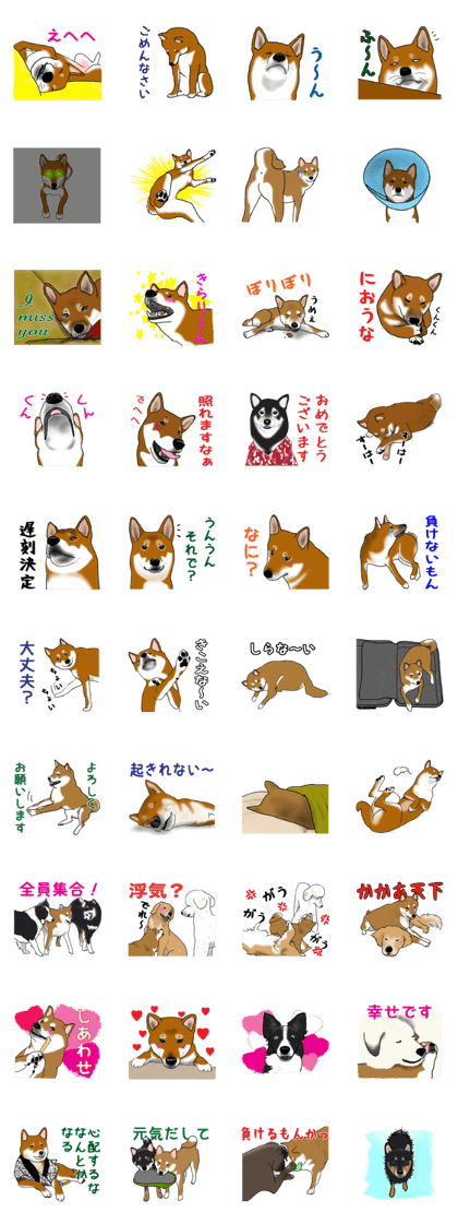 Shiba Inu Momo and his friends