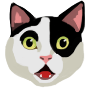 Faces of Cats