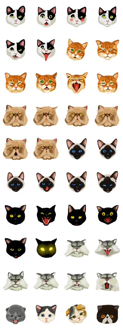 Faces of Cats