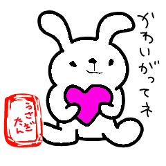 cute cute bunny