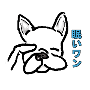 Daily life of the certain  dog