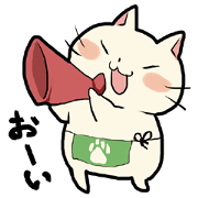 lovely chubby cat