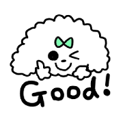 Cute White Poodle