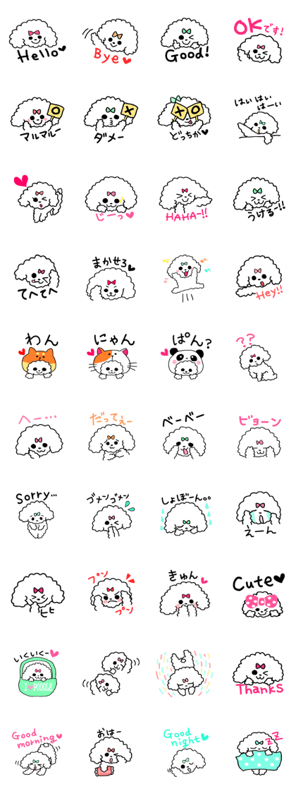 Cute White Poodle
