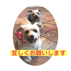 YUKARI_20200304101440