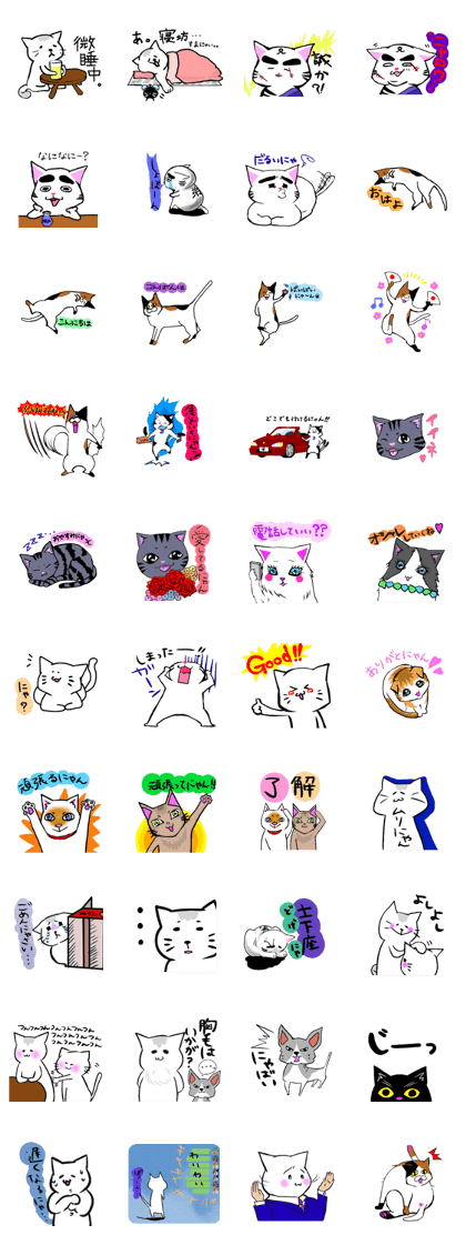 Cats Box