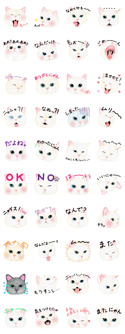 Tomboy Cat
