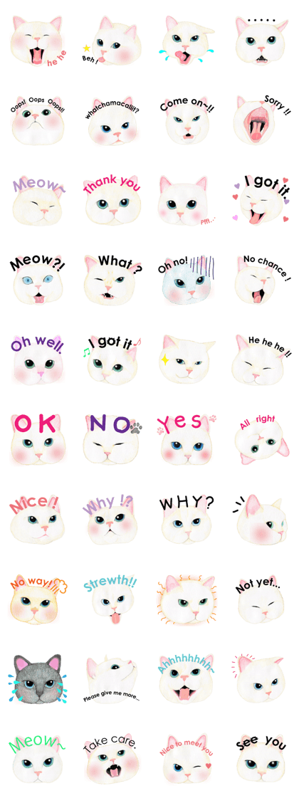 Tomboy Cat (English)