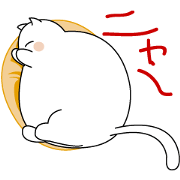 debu cat