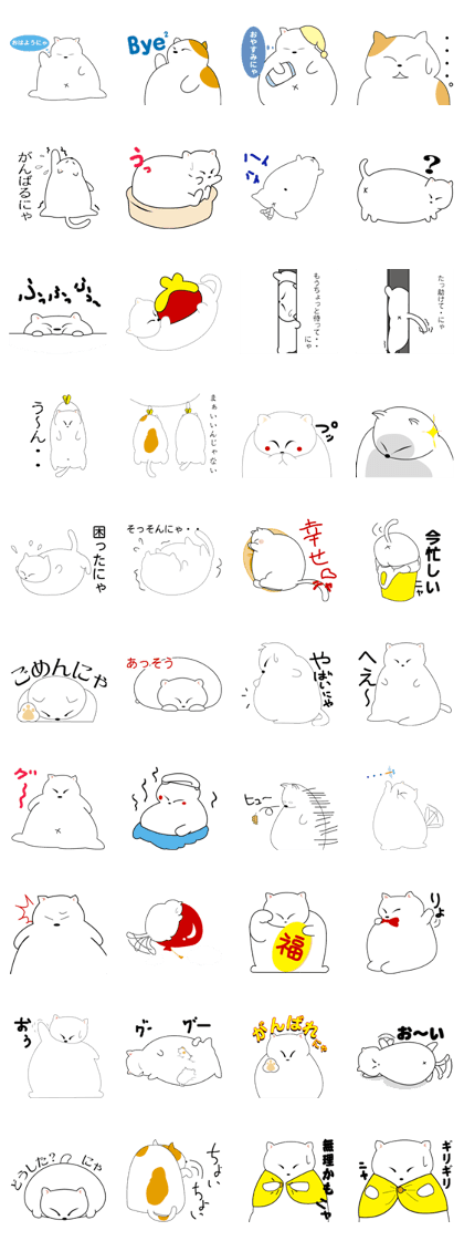 debu cat