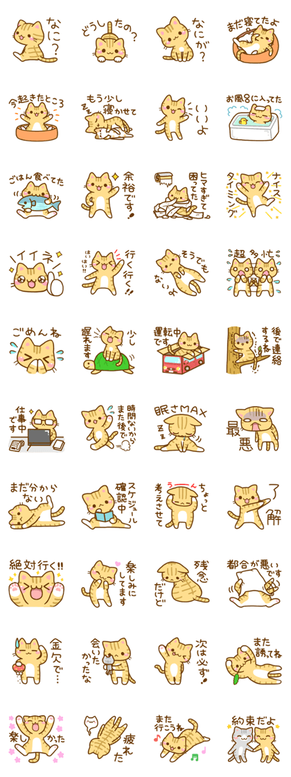 Necoco2