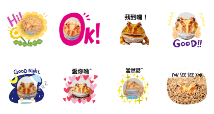 黃金角蛙 大黃