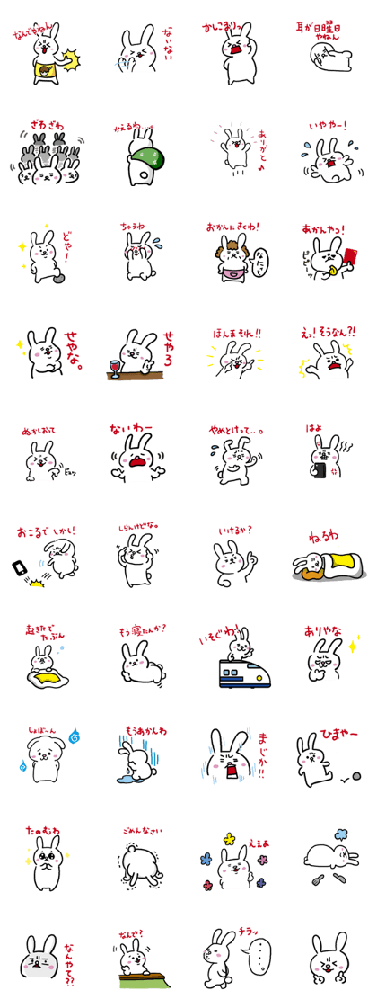 Osaka rabbit miyachan
