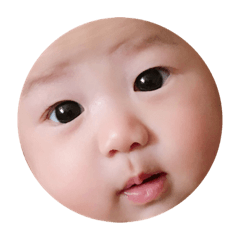 小團長表情包