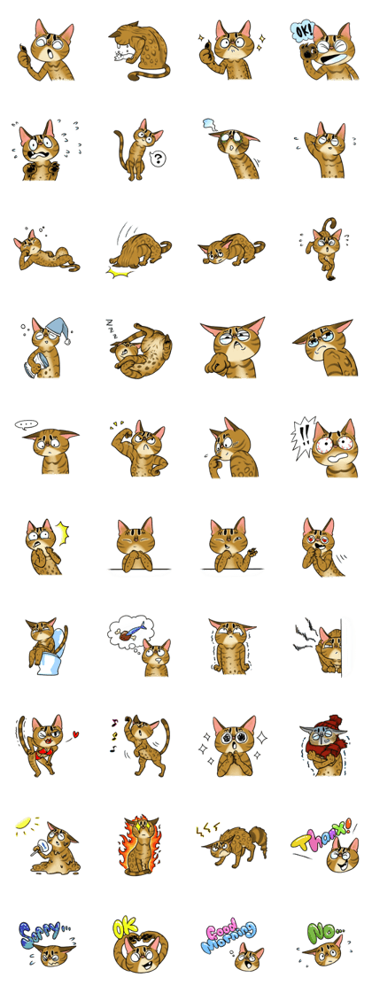 Bengal Cat Sticker