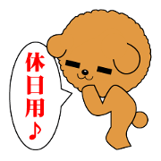 Holiday of dog