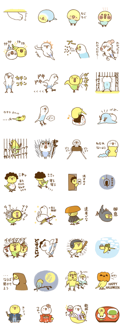 Budgie 4