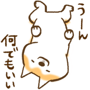 Shibachin