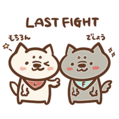 LAST FIGHT