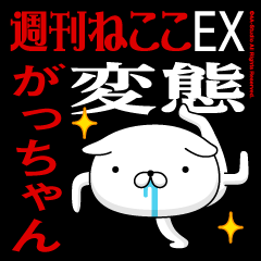 "GACCHAN" name/transformation