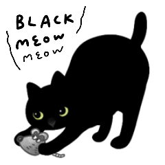 一番可愛い黒猫
