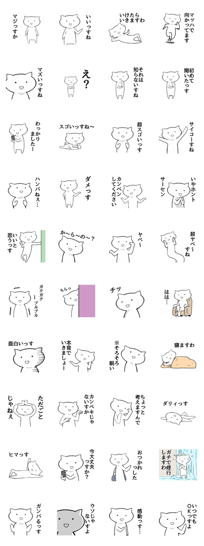 The frustrating junior cat