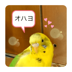 EMILY_20200304110256