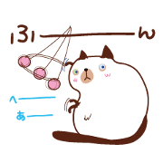Cute chubby cat