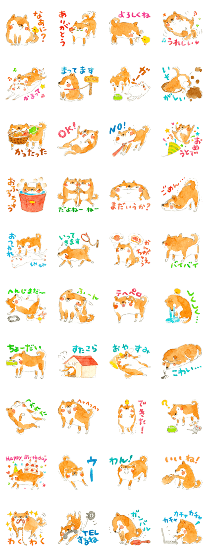 Shiba's Feelings.
