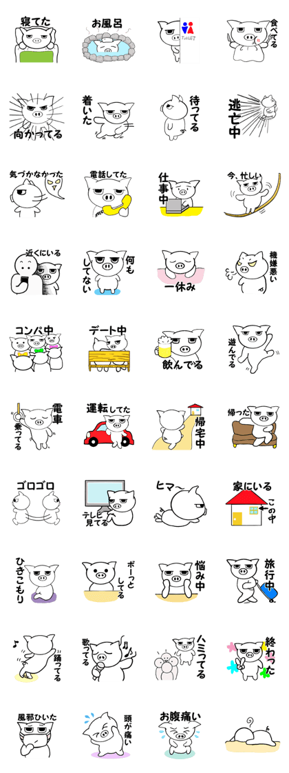 A white pig conveys now