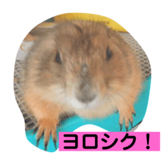 Jackie_20200304131837