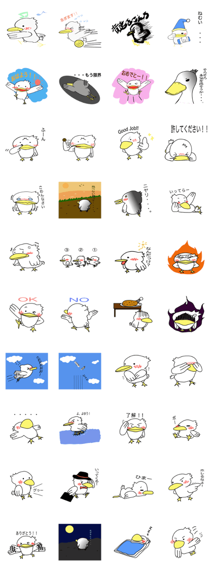 The name of the duck is tacchi
