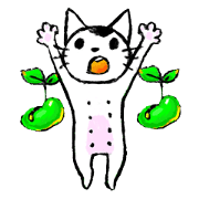 MAMEKICHI the cat 2