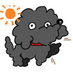 あんちゃんの1日